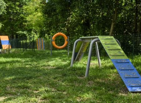 Dog Agility Area